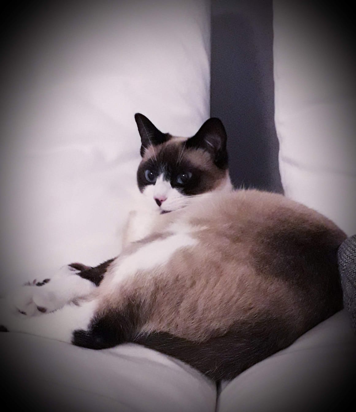 Matilde
