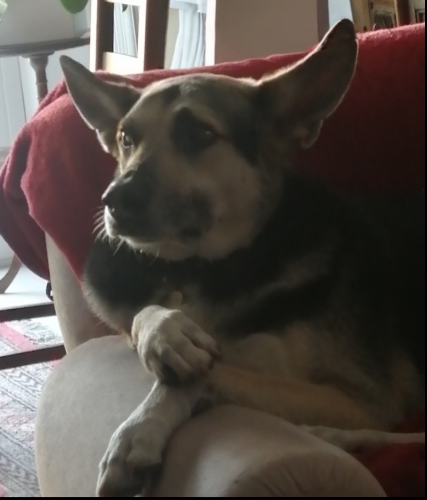 Loki