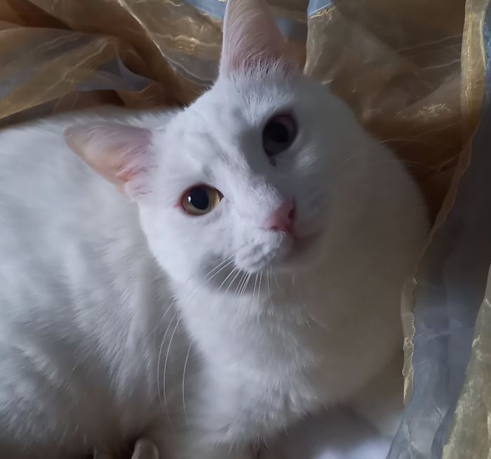 Mune