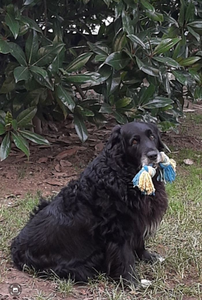 Bamb&ugrave;