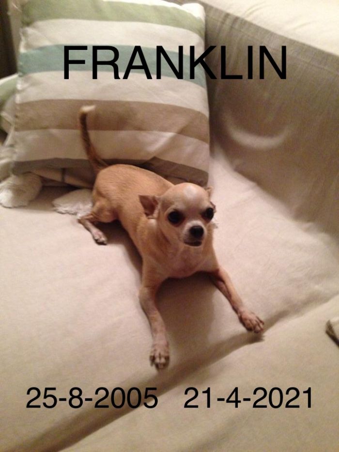 Franklin