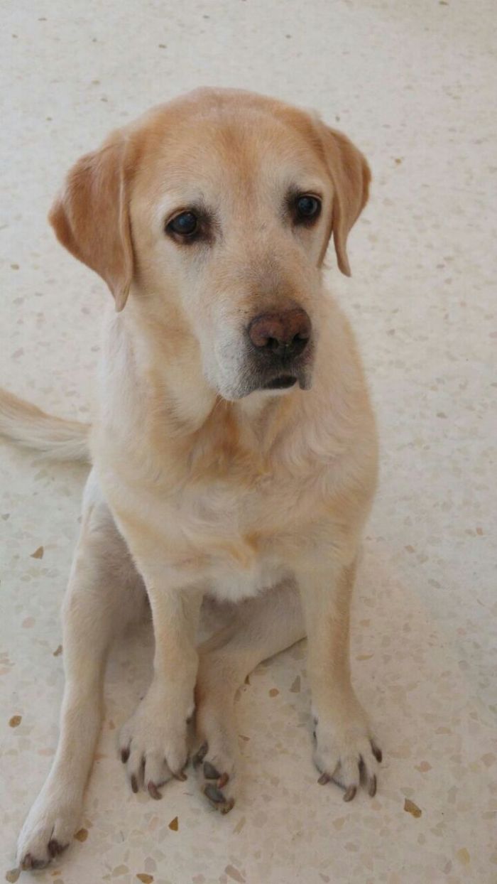 Addio indimenticabile e insostituibile amica