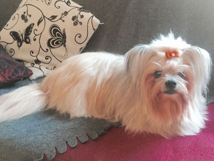 MIO Angelo &egrave; partita con dio !!!!