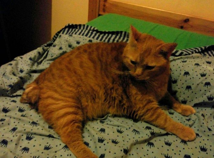 ciao amico Mercoled&igrave;