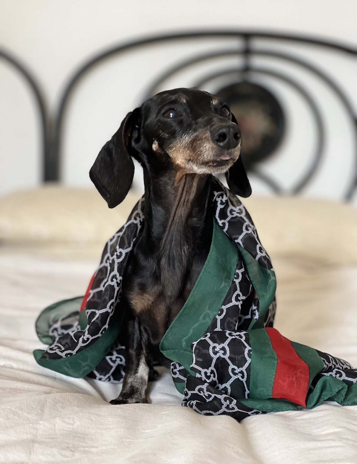 Maggie