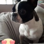 Bella