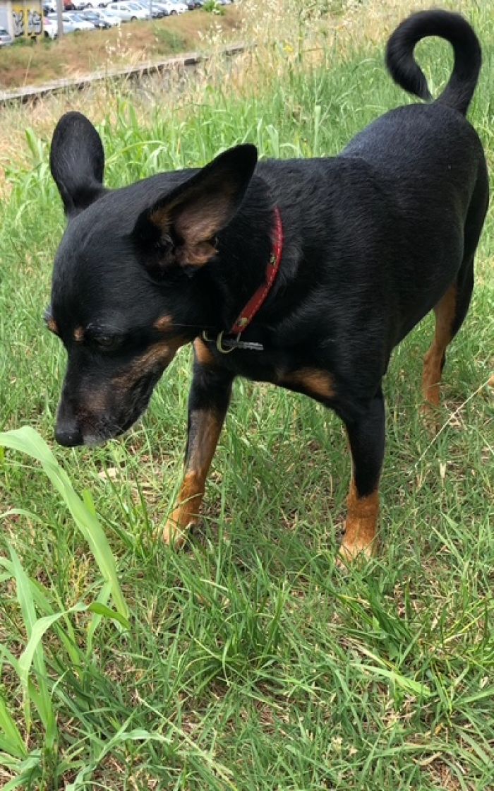 Bella