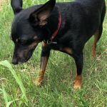 Bella