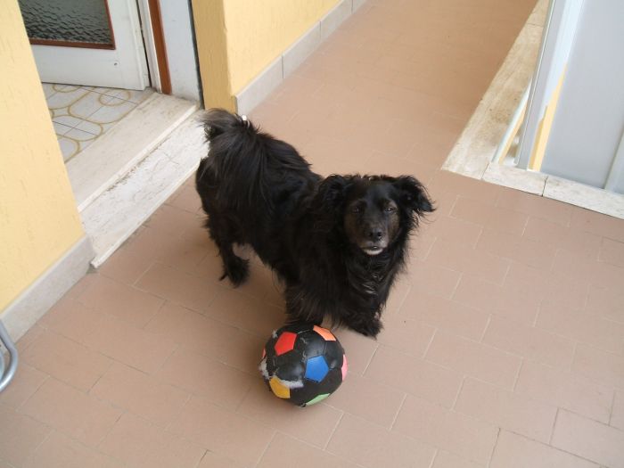 Al mio caro fratello Dodi