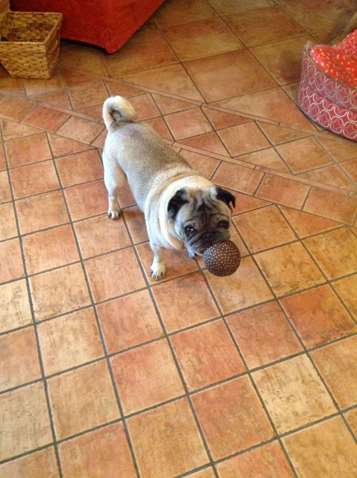 Romeo