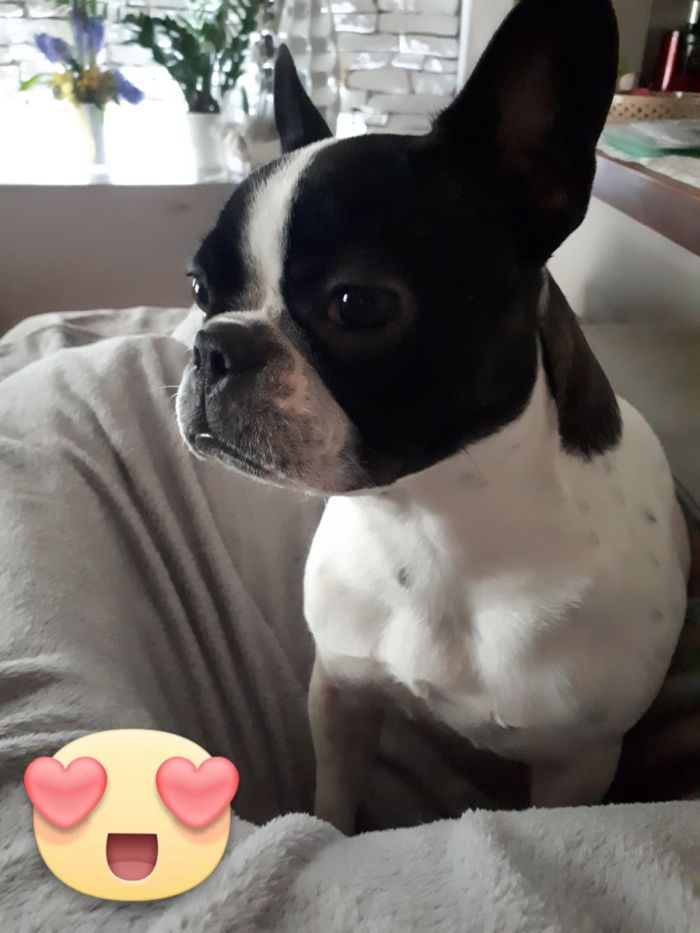 Bella