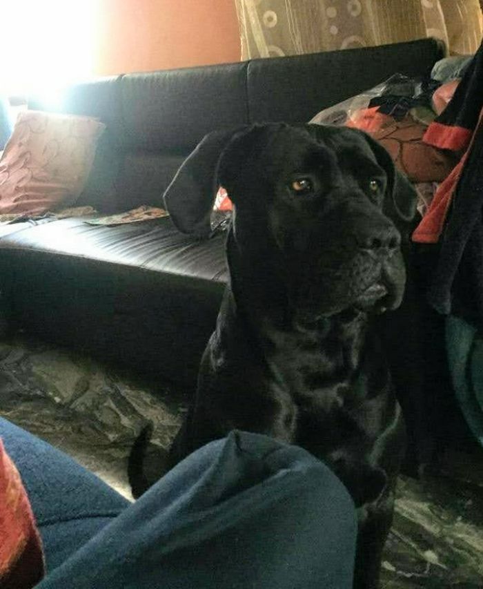 Xena