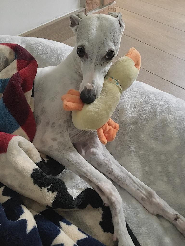 Chloe