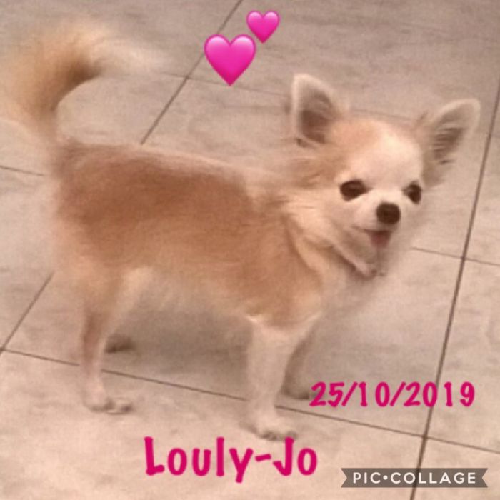 Louly Jo