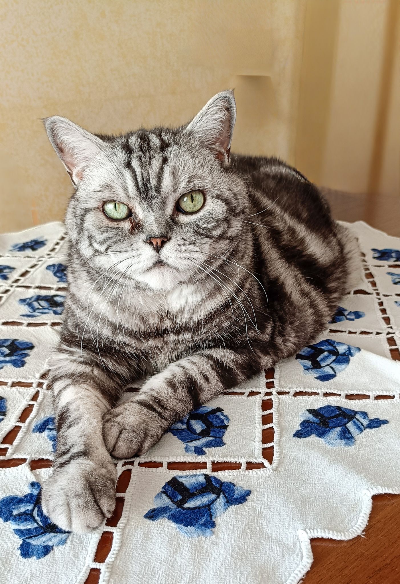 Oscar