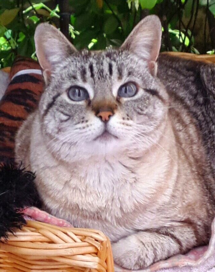 Nina