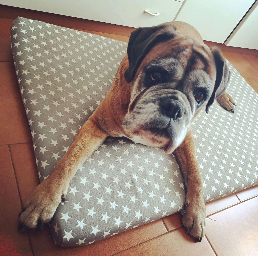 Zoe