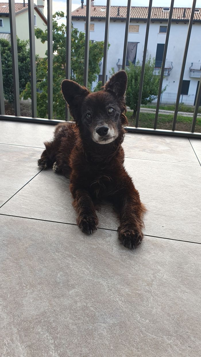 Pedro