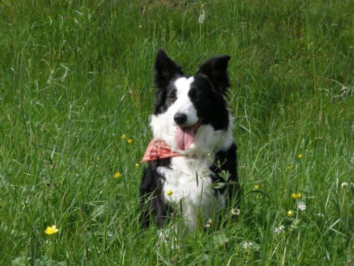 Cloe