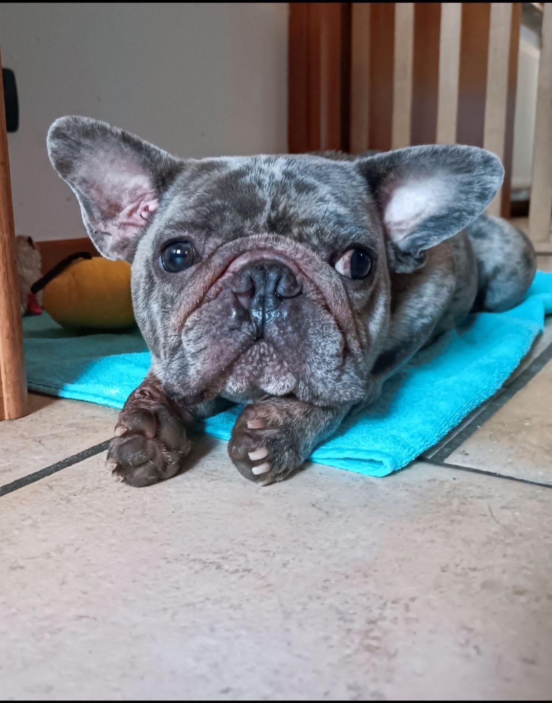 Tyson
