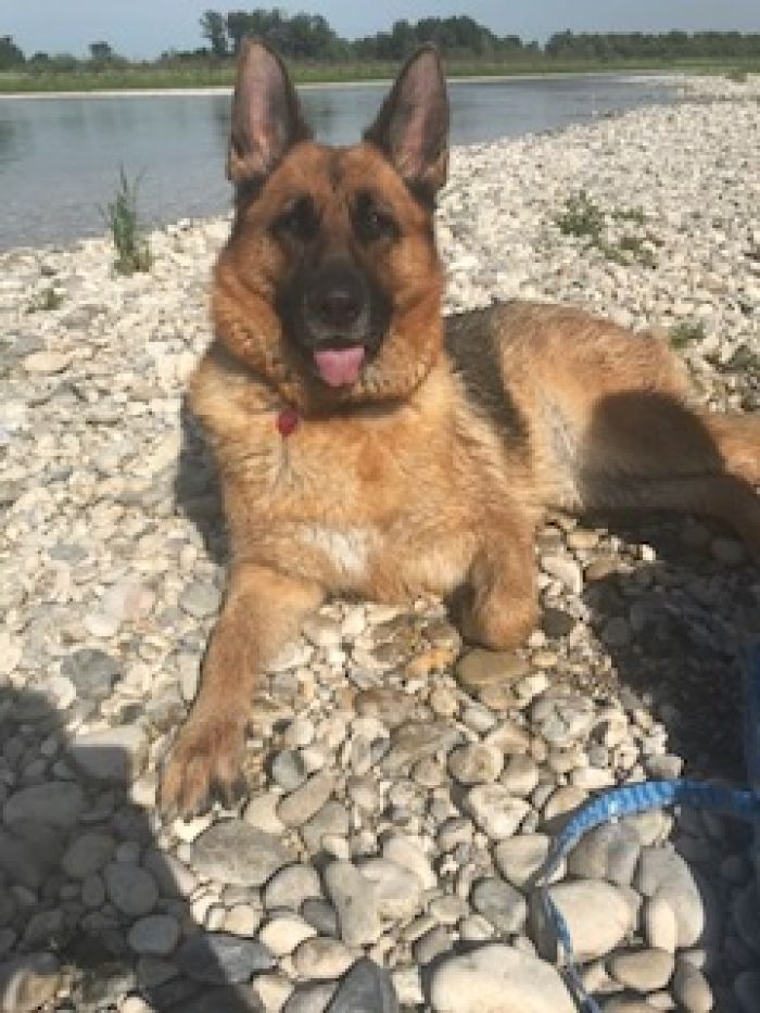 Maya