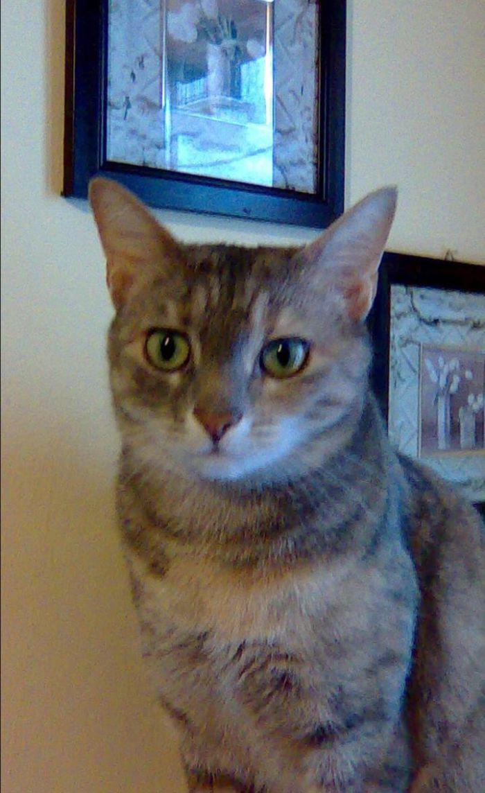 Perla
