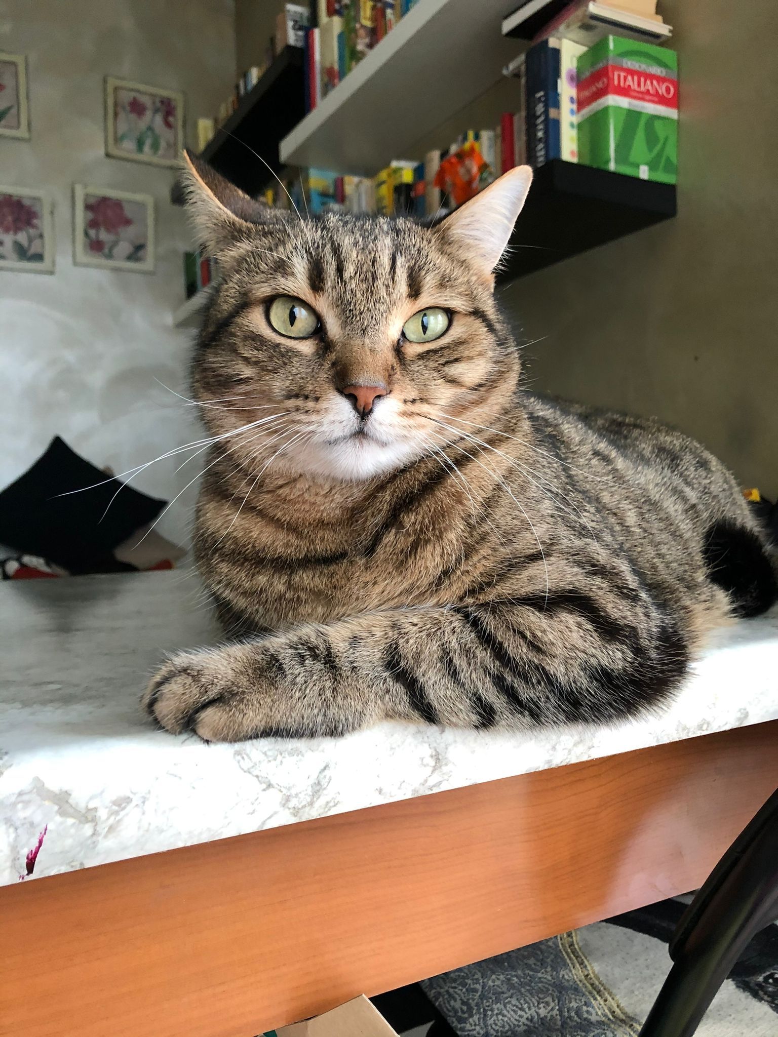 Leo