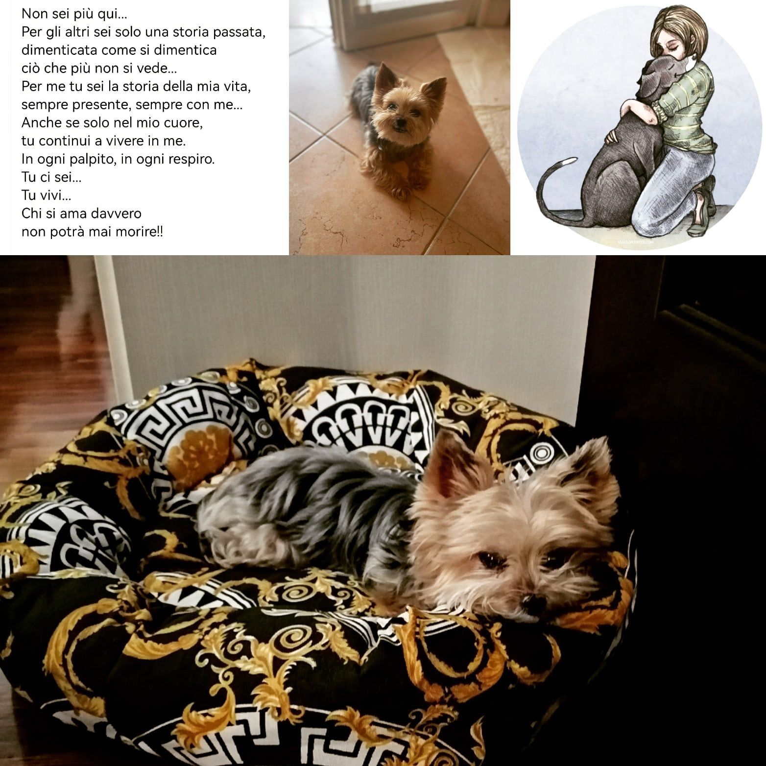 Mimì