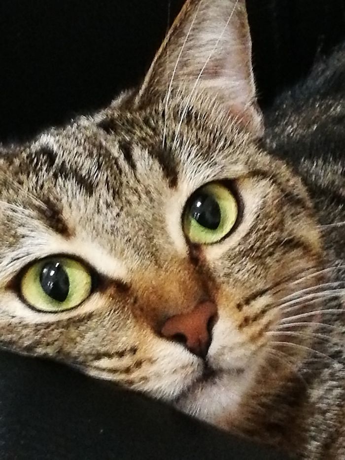 Minu’