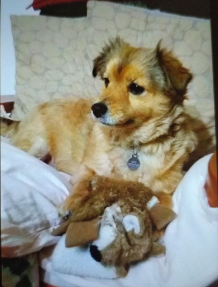 Kira