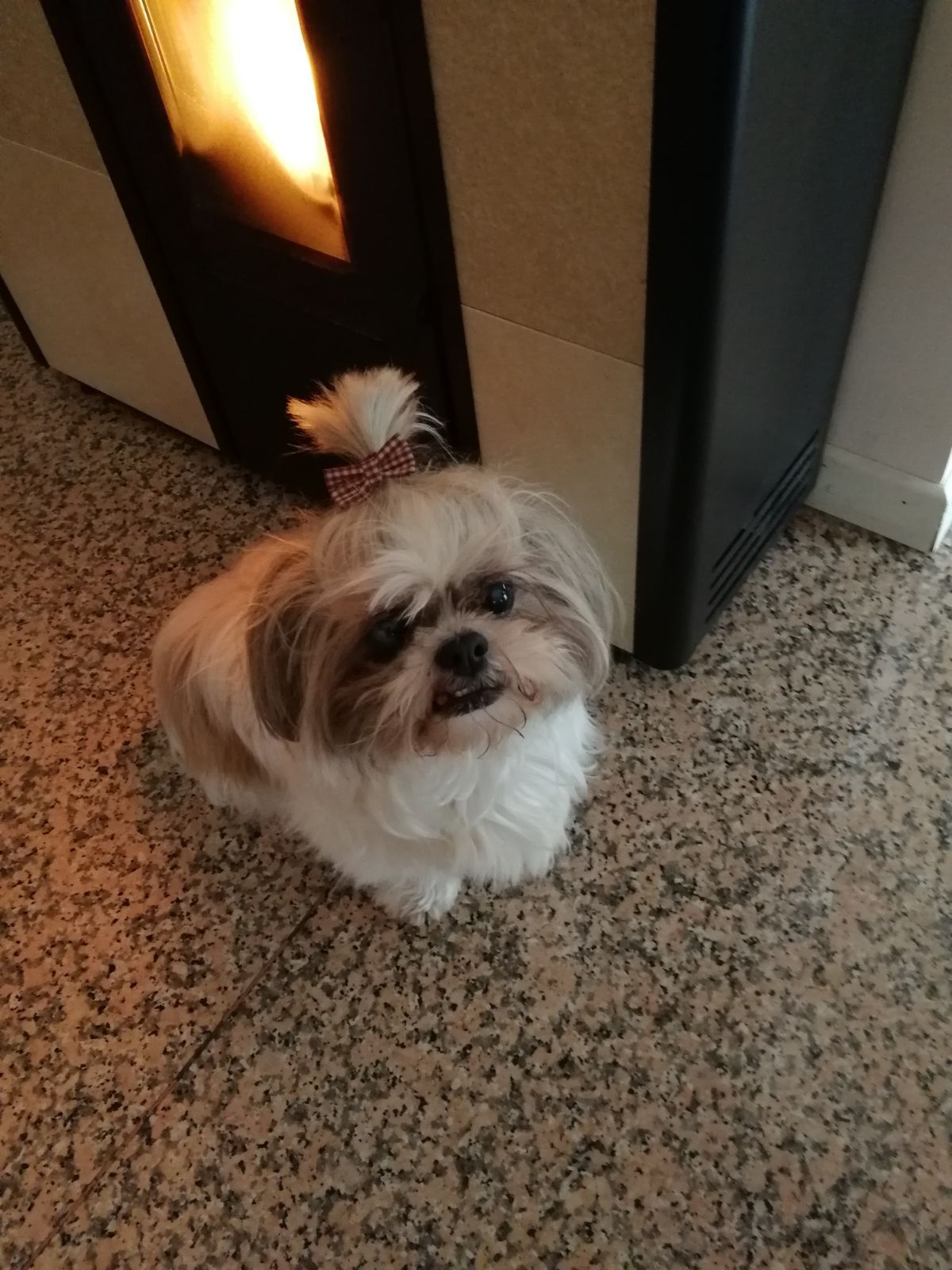 Lulu'