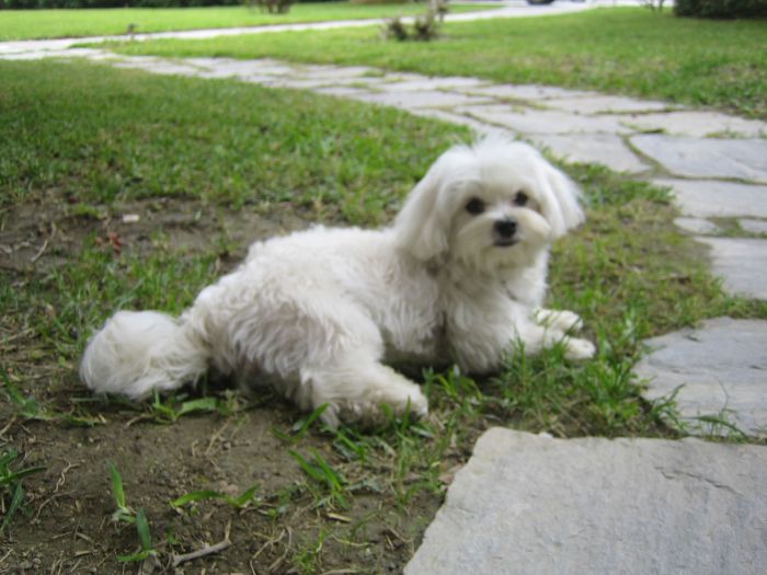 PEGGY