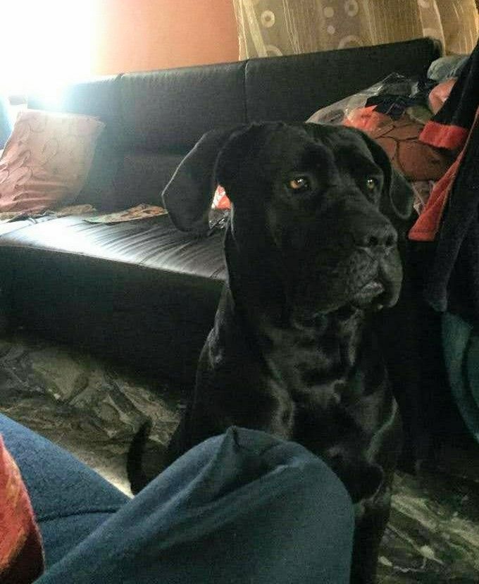 Xena