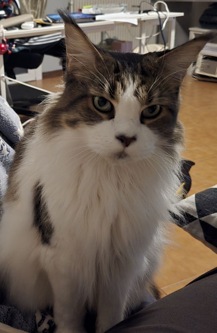 Anubi