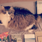 Yuki