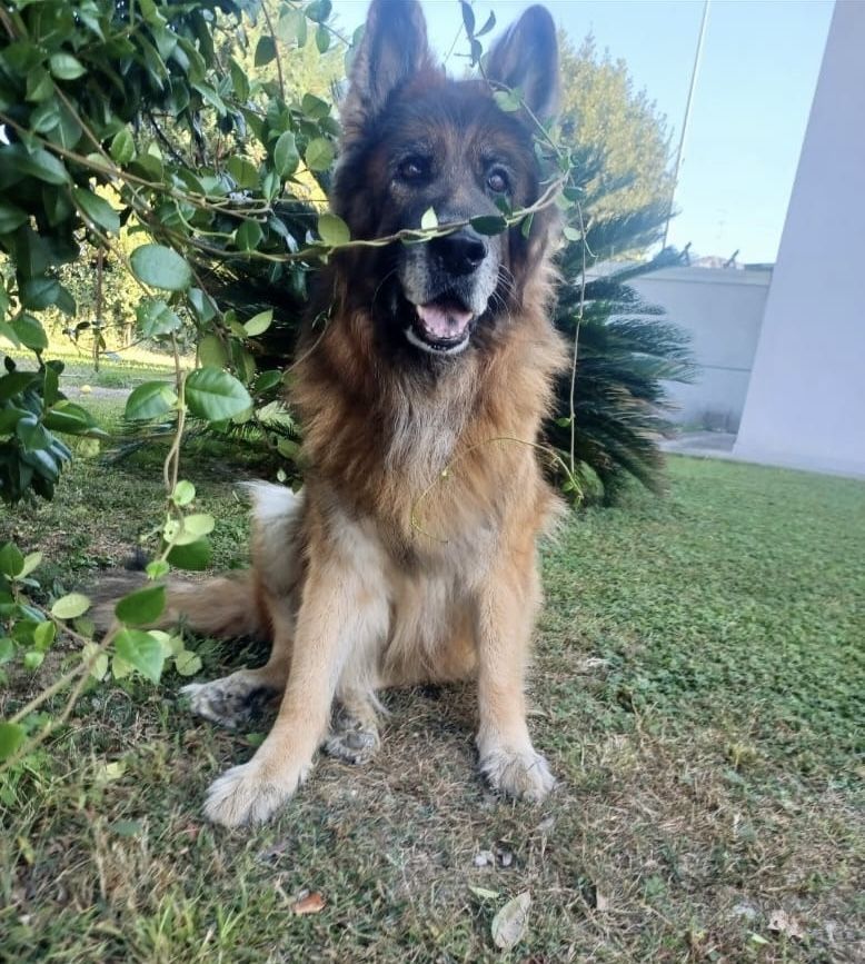 Pablo