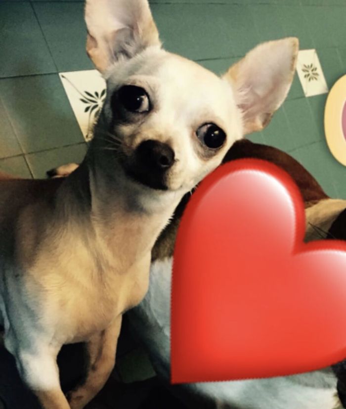 Lola