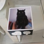 Milù