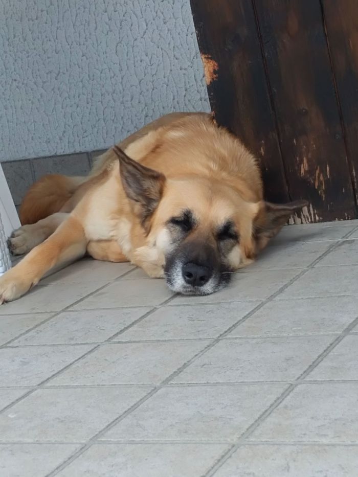 Runa