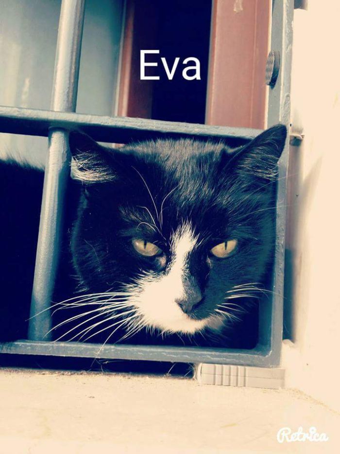 Eva