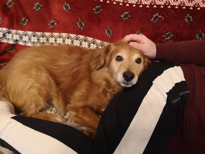 Baci