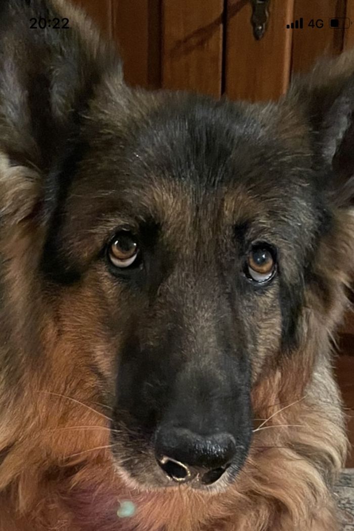 Asia