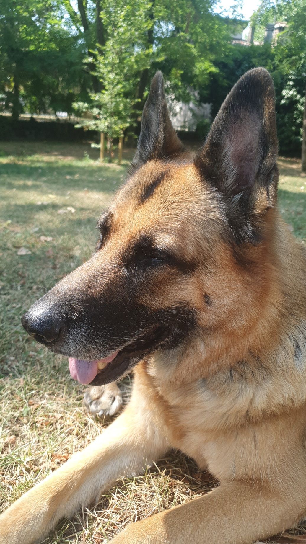 Zoe
