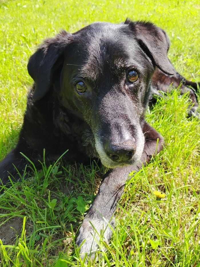 Marley