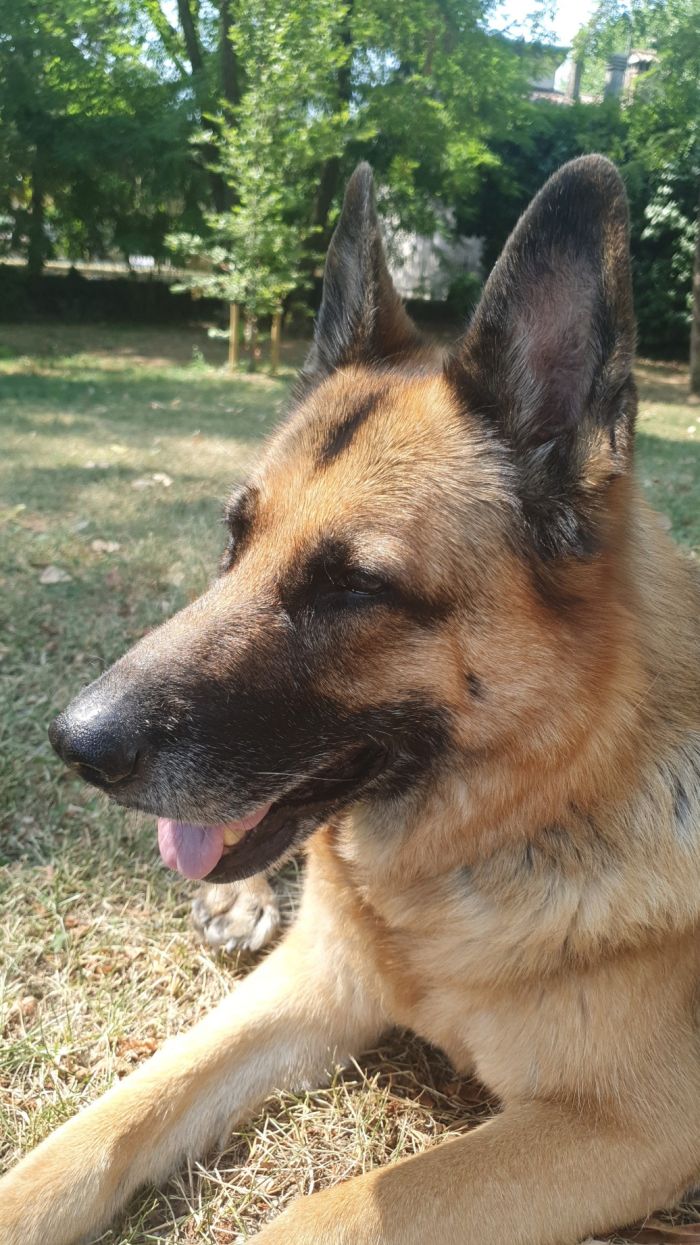 Zoe