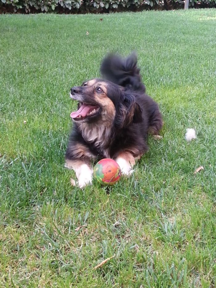 Lilli