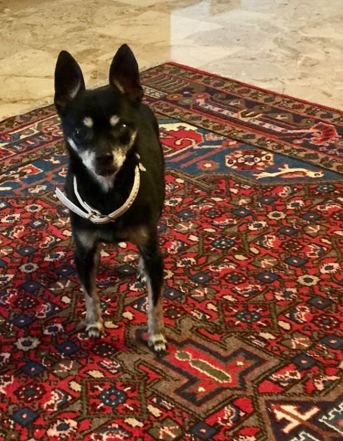 Niki