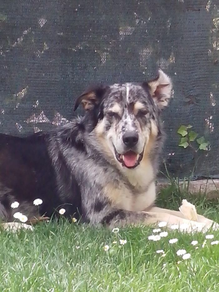 Romeo