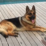 Athos